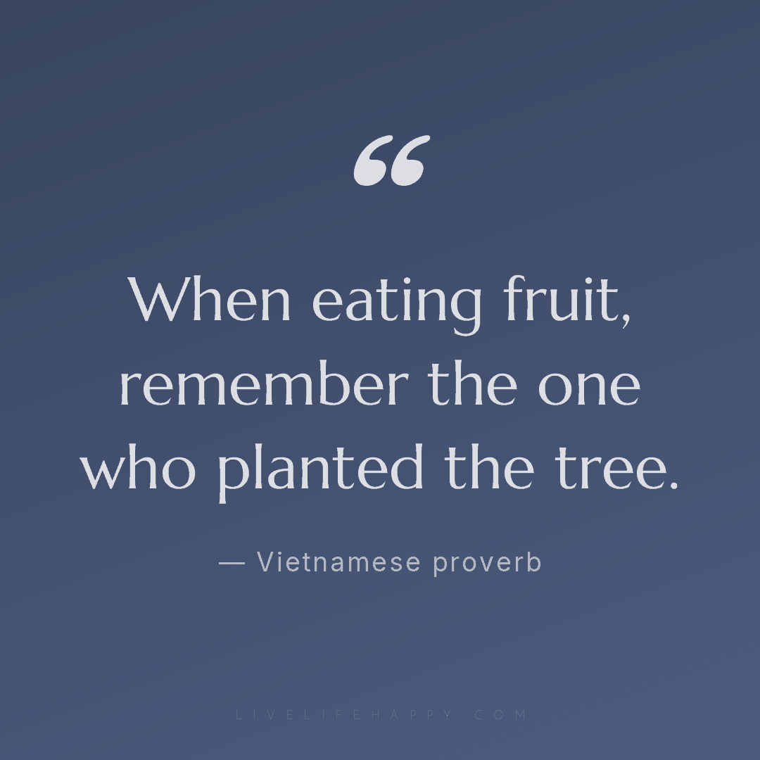 When eating fruit, remember the one who planted the ... — Vietnamese proverb