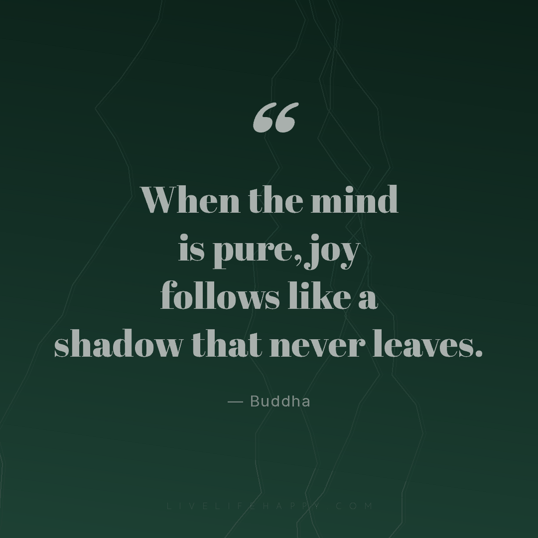 When the mind is pure, joy follows like a shadow tha... — Buddha