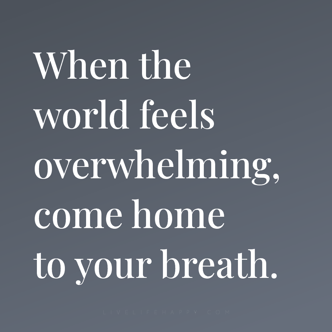 When the world feels overwhelming, come home to your... — Author Unknown