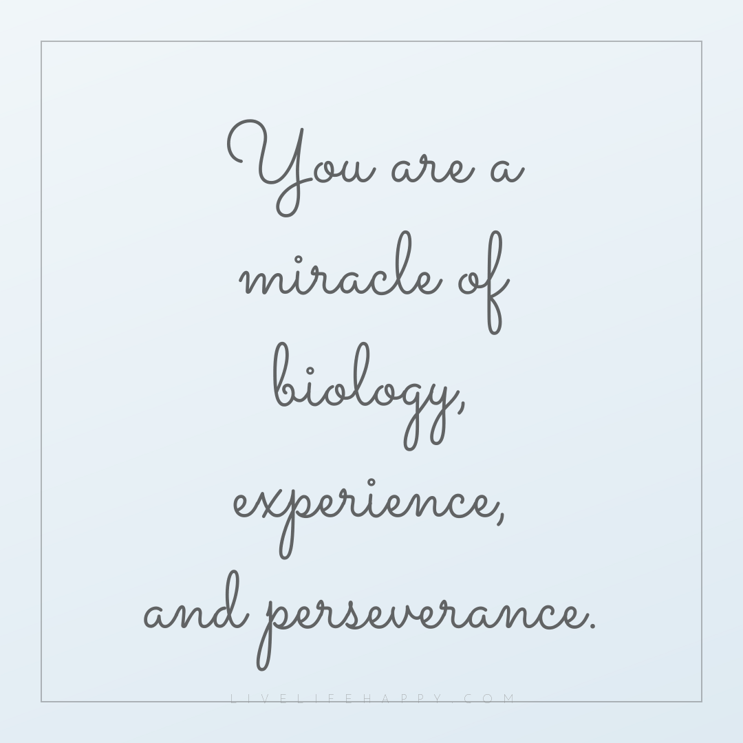 You are a miracle of biology, experience, and persev... — Author Unknown