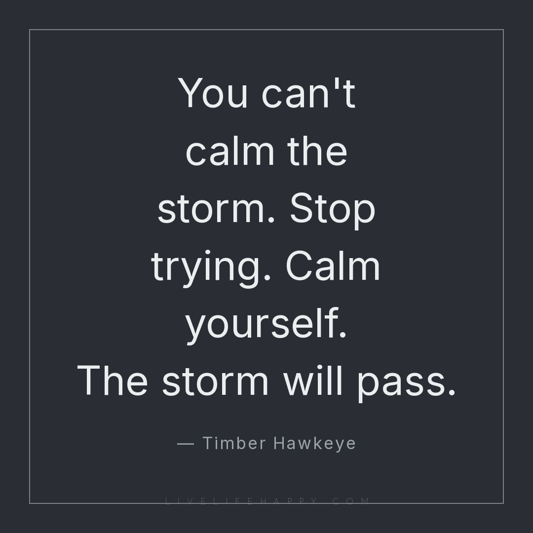You can't calm the storm. Stop trying. Calm yourself... — Timber Hawkeye