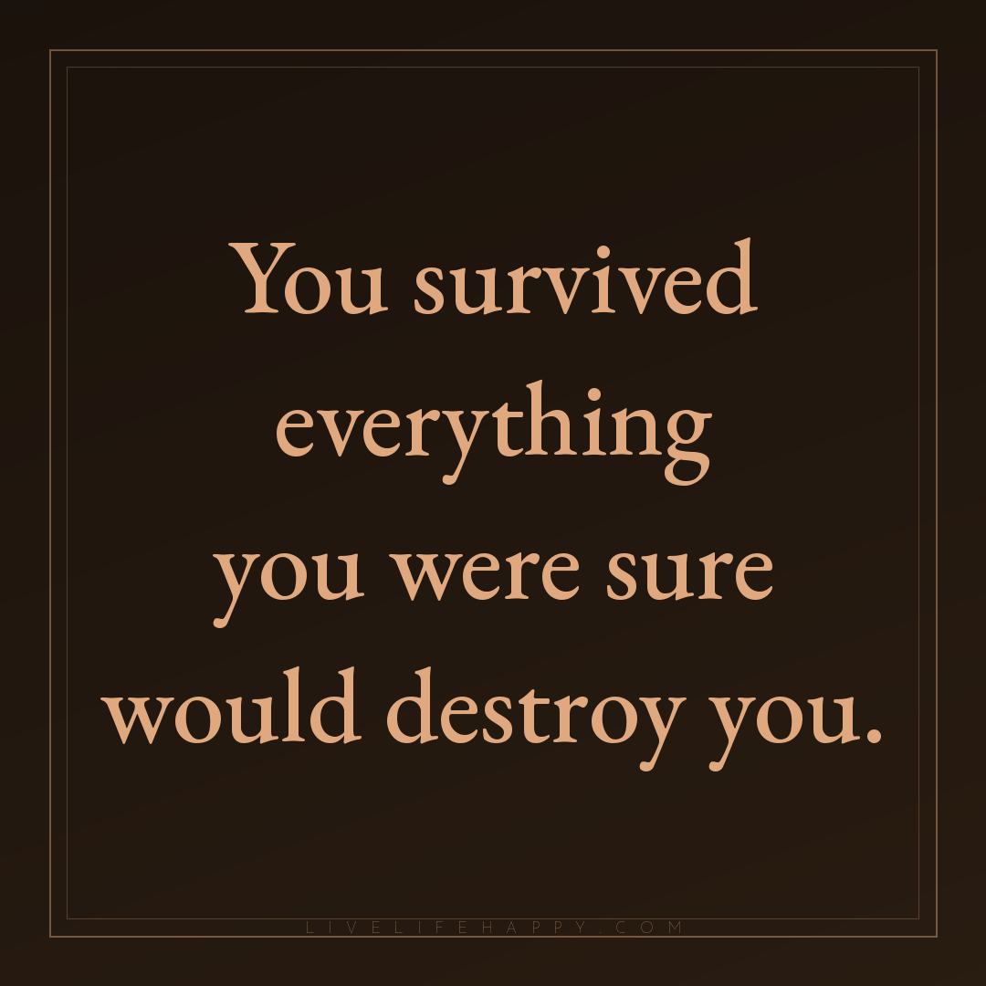 You survived everything you were sure would destroy ... — Author Unknown