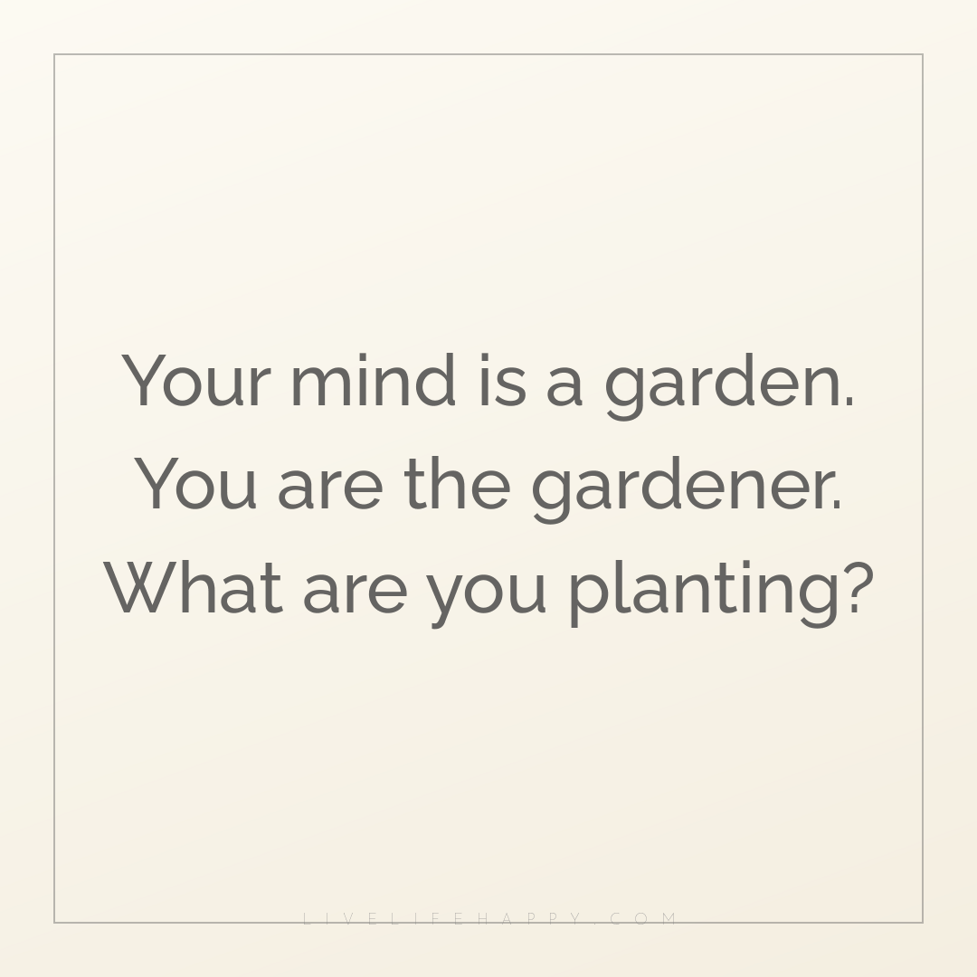 Your mind is a garden. You are the gardener. What ar... — Author Unknown