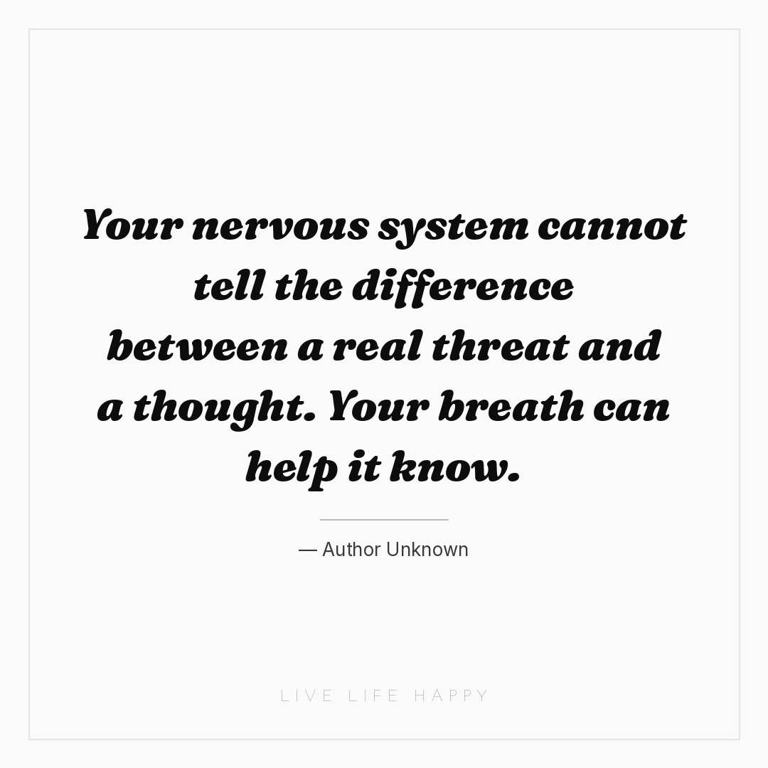 Your nervous system cannot tell the difference betwe... — Author Unknown