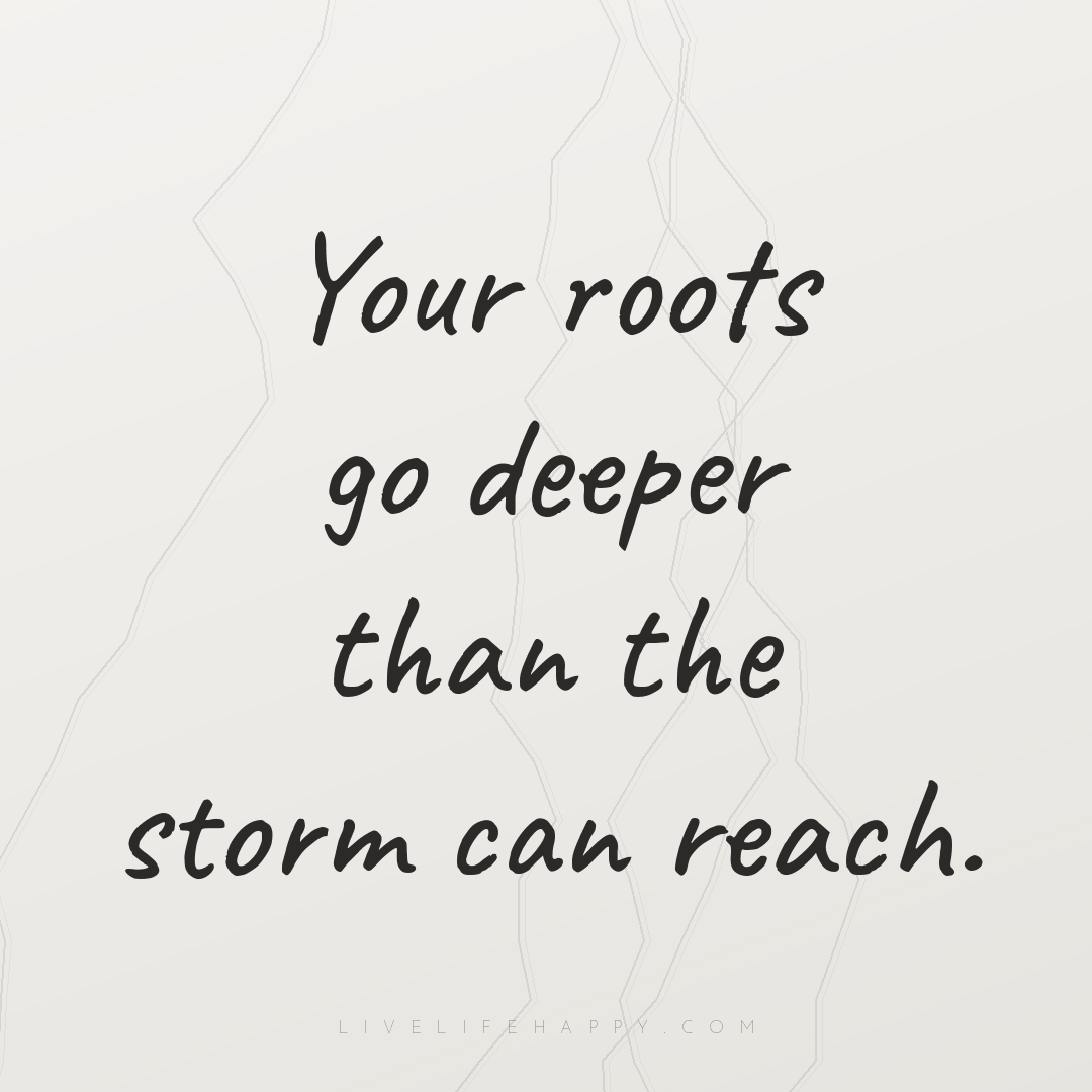 Your roots go deeper than the storm can reach. — Author Unknown