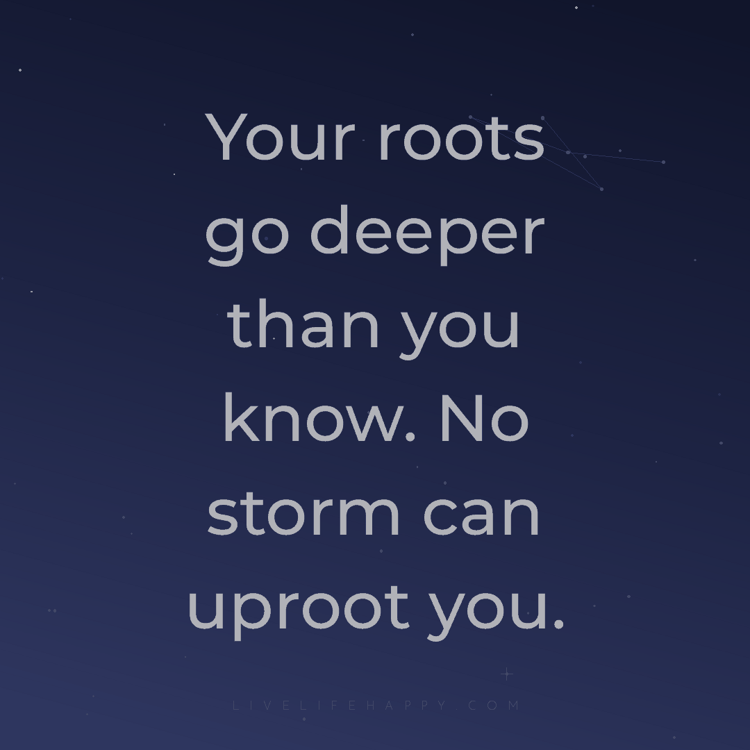 Your roots go deeper than you know. No storm can upr... — Author Unknown