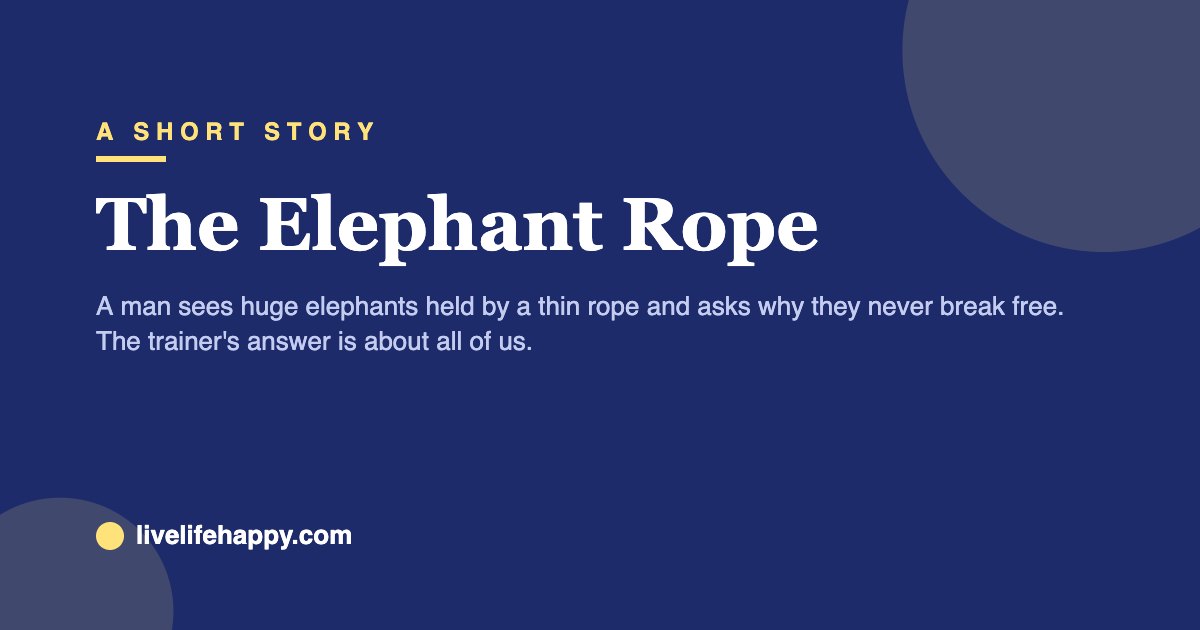 The Elephant Rope — A man sees huge elephants held by a thin rope and asks why they never break free. The trainer's answer is about all of us.